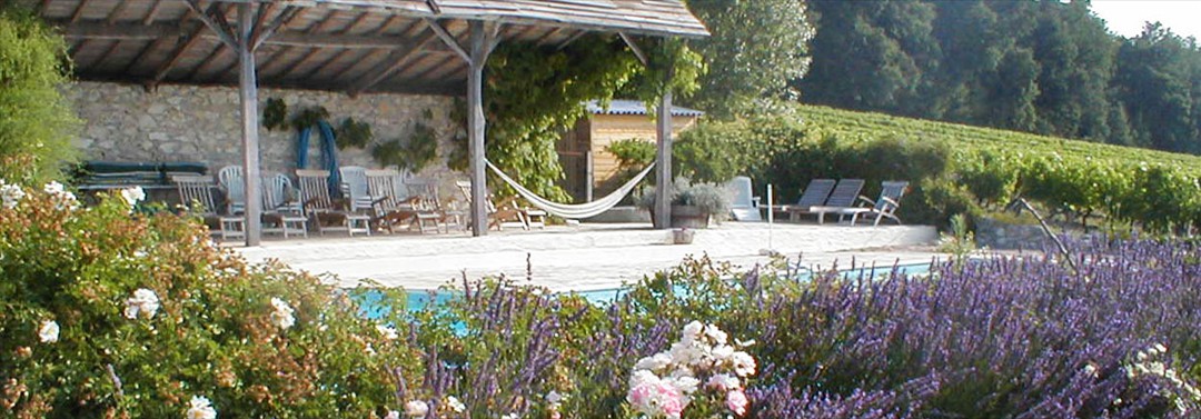 lavendar_&_swimming_pool_terrace